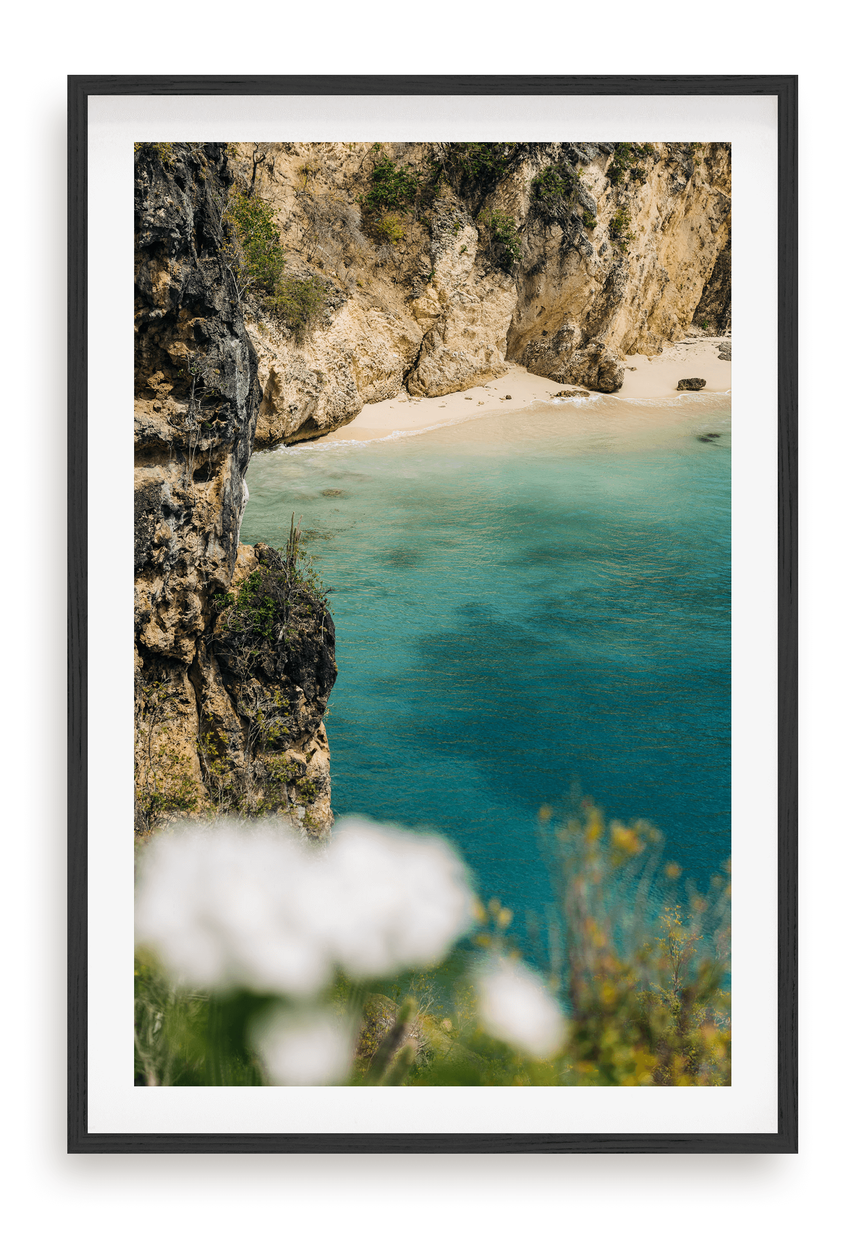 Aqua Cove