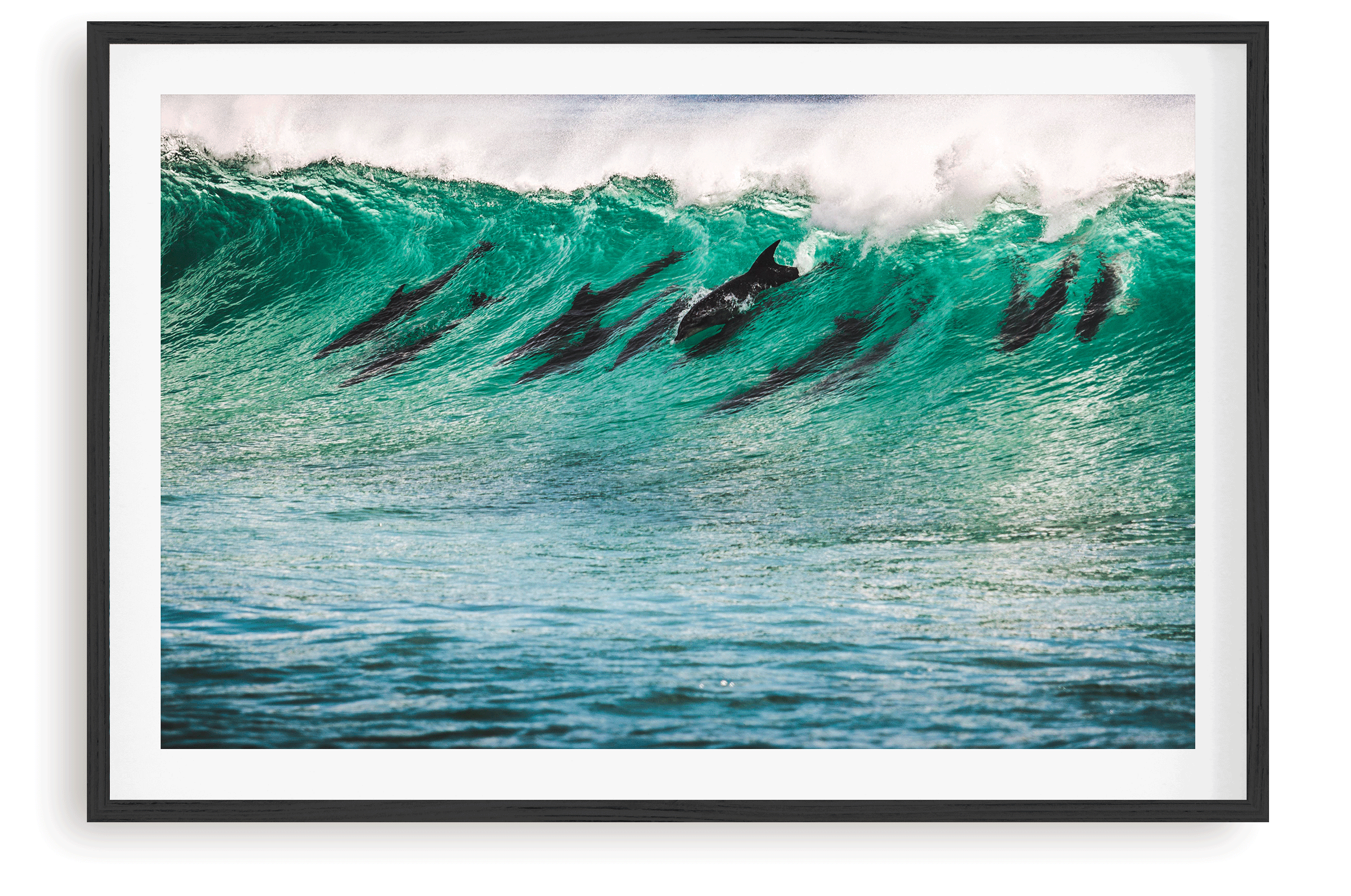 Surf Riders