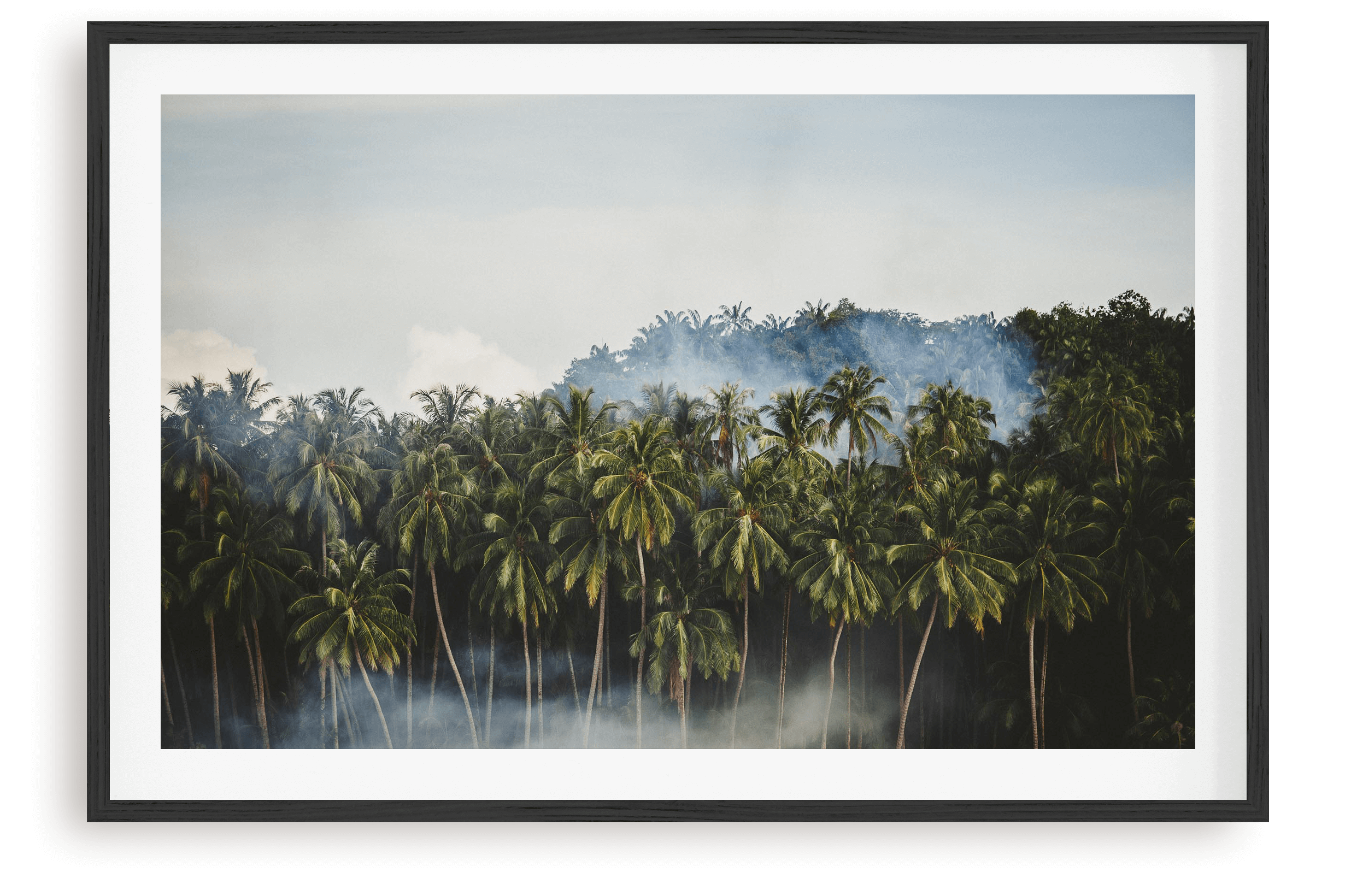 Smokin' Palms