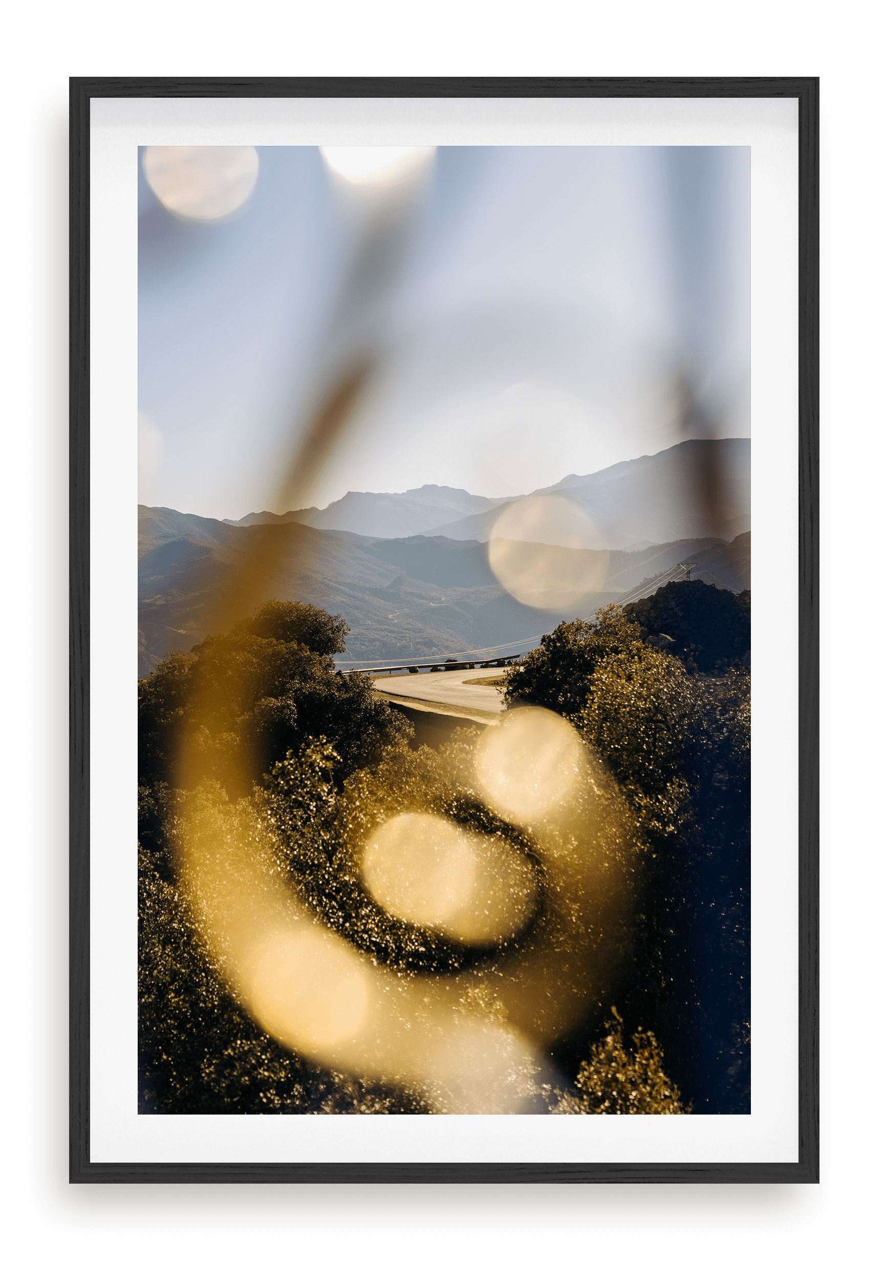 Gold Road