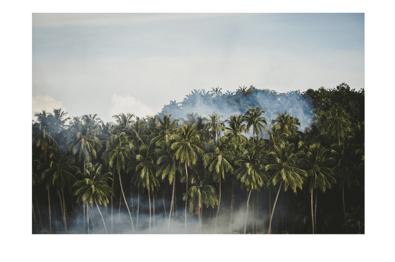 Smokin' Palms