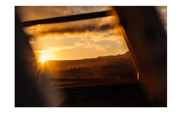 Last Shot
