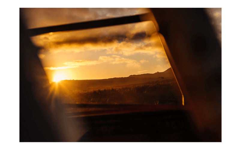 Last Shot